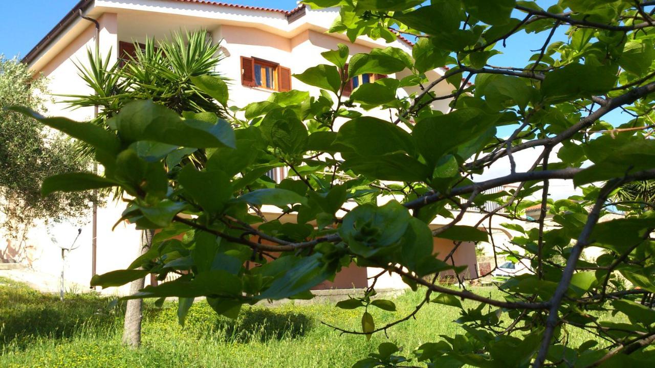 Borgo Marinaro Bed & Breakfast Marina di Camerota Exterior photo